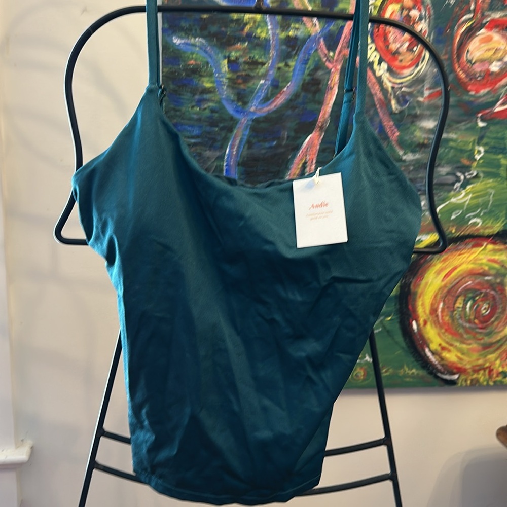 Andie Tankini Top in Teal Size Large